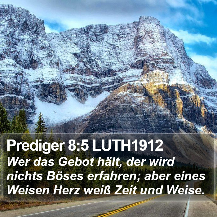 Prediger 8:5 LUTH1912 Bible Study