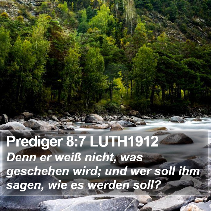 Prediger 8:7 LUTH1912 Bible Study