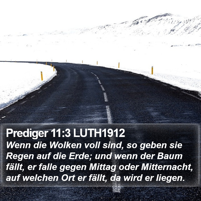 Prediger 11:3 LUTH1912 Bible Study
