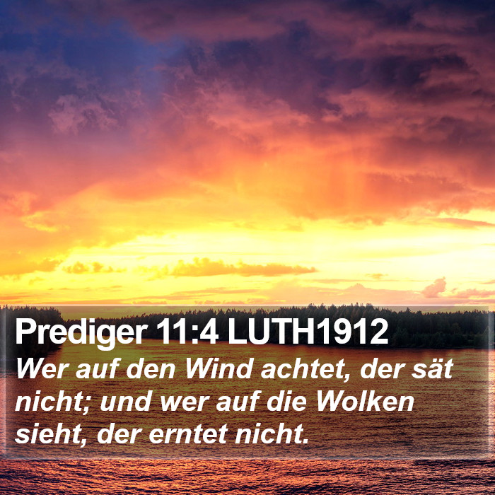 Prediger 11:4 LUTH1912 Bible Study