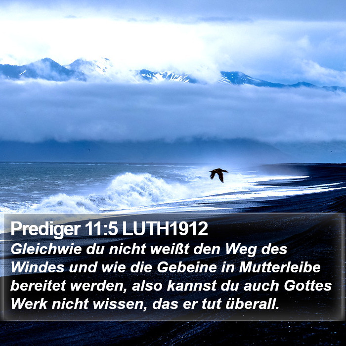 Prediger 11:5 LUTH1912 Bible Study