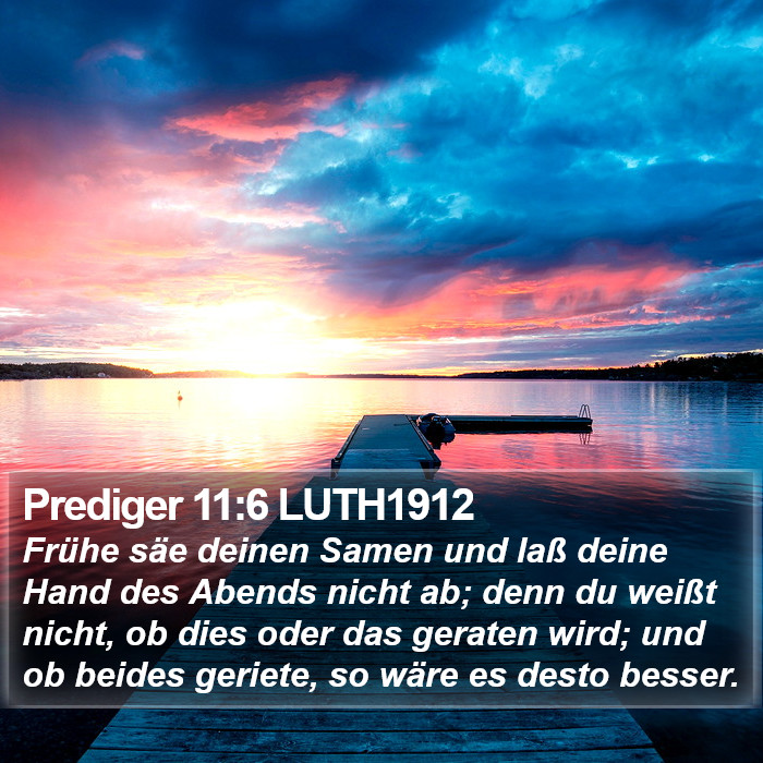 Prediger 11:6 LUTH1912 Bible Study