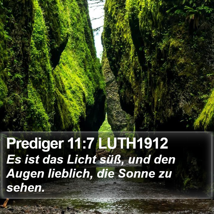 Prediger 11:7 LUTH1912 Bible Study
