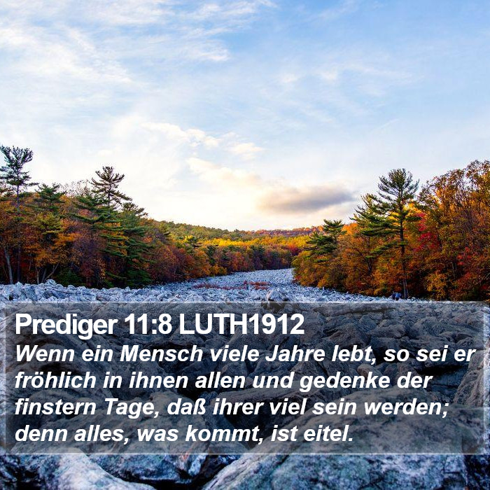 Prediger 11:8 LUTH1912 Bible Study