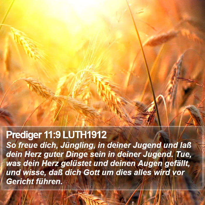 Prediger 11:9 LUTH1912 Bible Study
