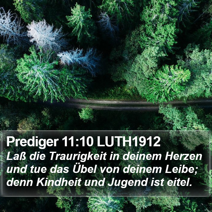 Prediger 11:10 LUTH1912 Bible Study