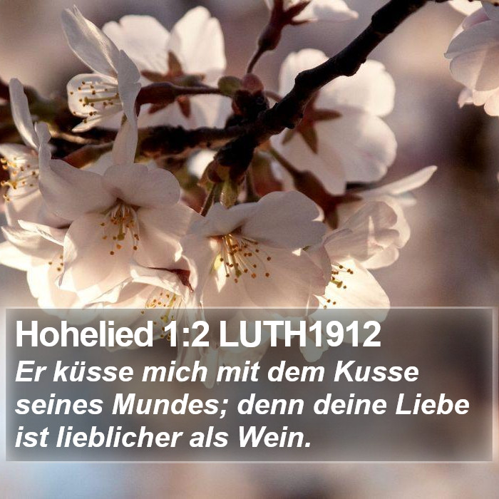 Hohelied 1:2 LUTH1912 Bible Study