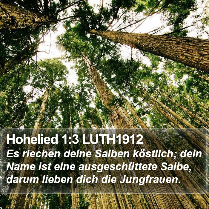 Hohelied 1:3 LUTH1912 Bible Study