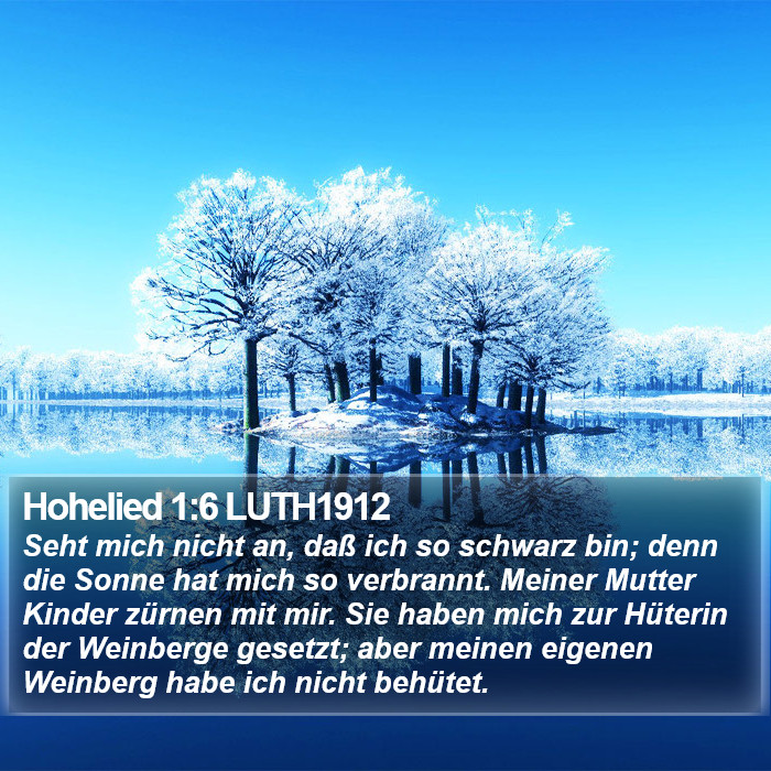 Hohelied 1:6 LUTH1912 Bible Study