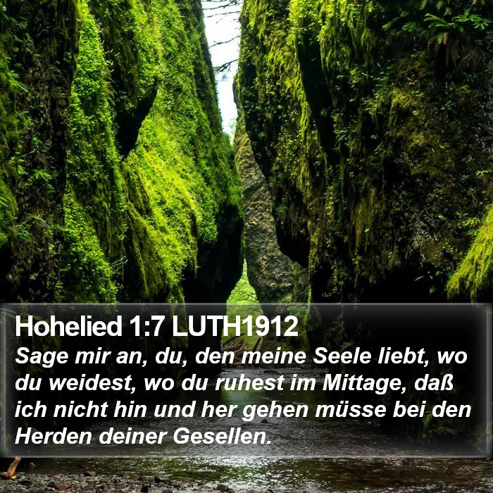 Hohelied 1:7 LUTH1912 Bible Study