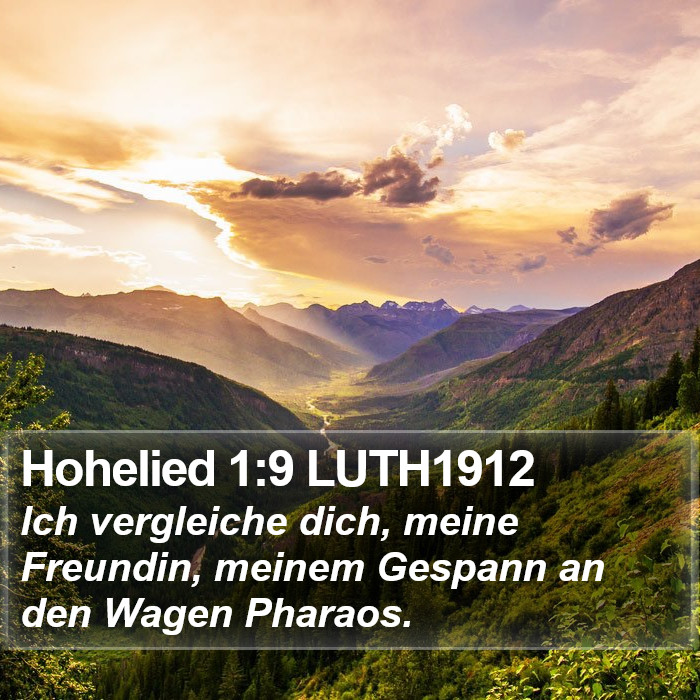 Hohelied 1:9 LUTH1912 Bible Study