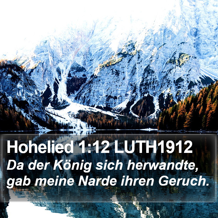 Hohelied 1:12 LUTH1912 Bible Study