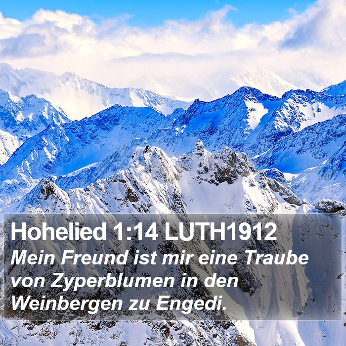 Hohelied 1:14 LUTH1912 Bible Study