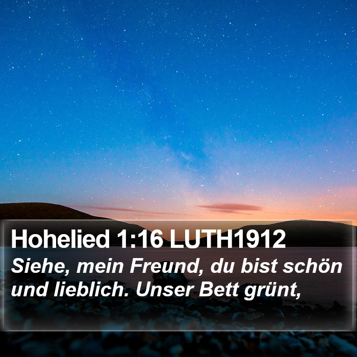 Hohelied 1:16 LUTH1912 Bible Study