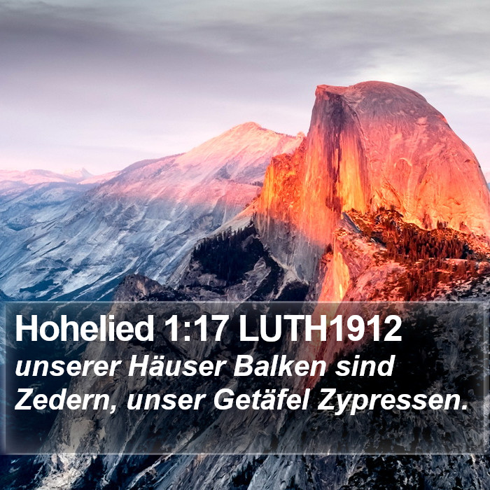 Hohelied 1:17 LUTH1912 Bible Study