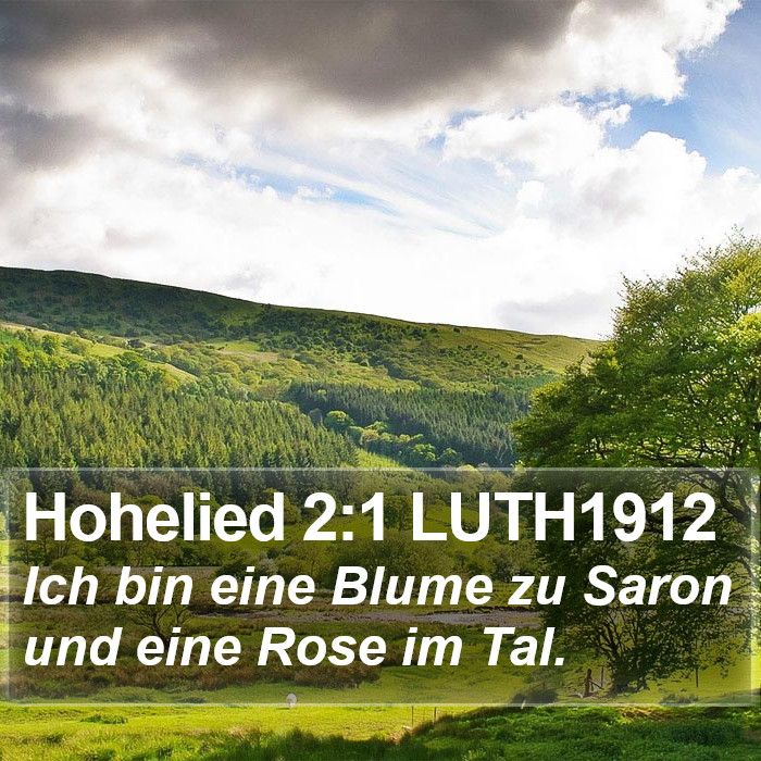 Hohelied 2:1 LUTH1912 Bible Study