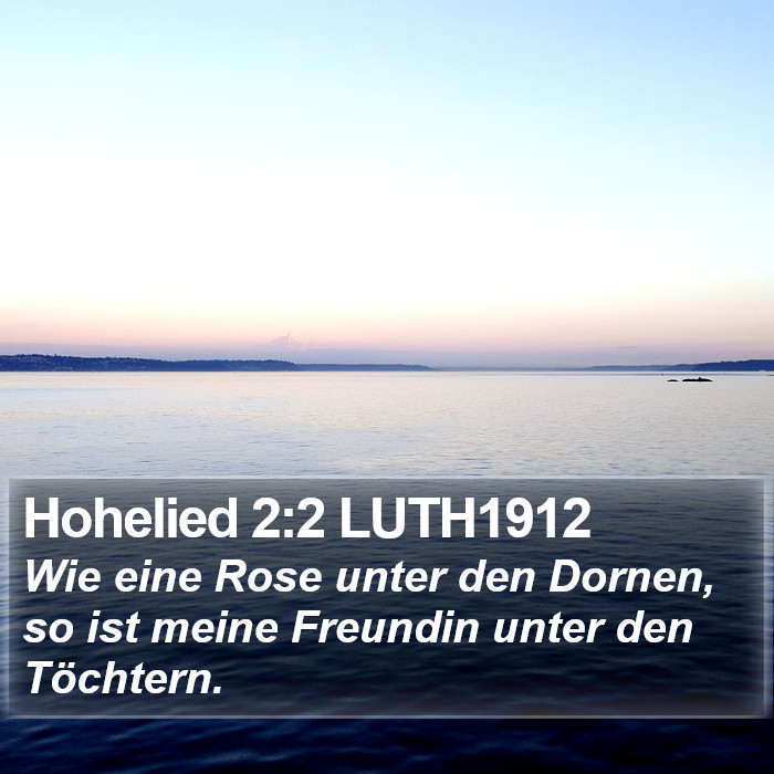 Hohelied 2:2 LUTH1912 Bible Study
