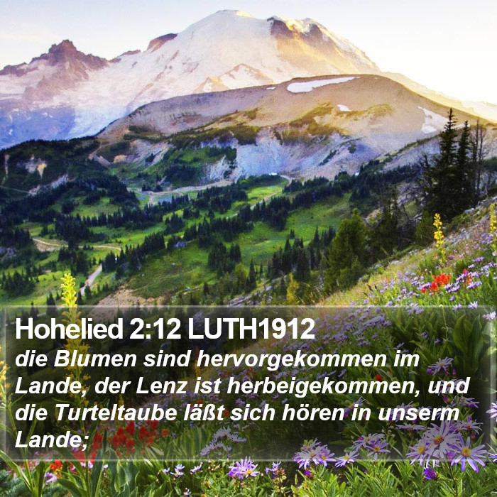 Hohelied 2:12 LUTH1912 Bible Study