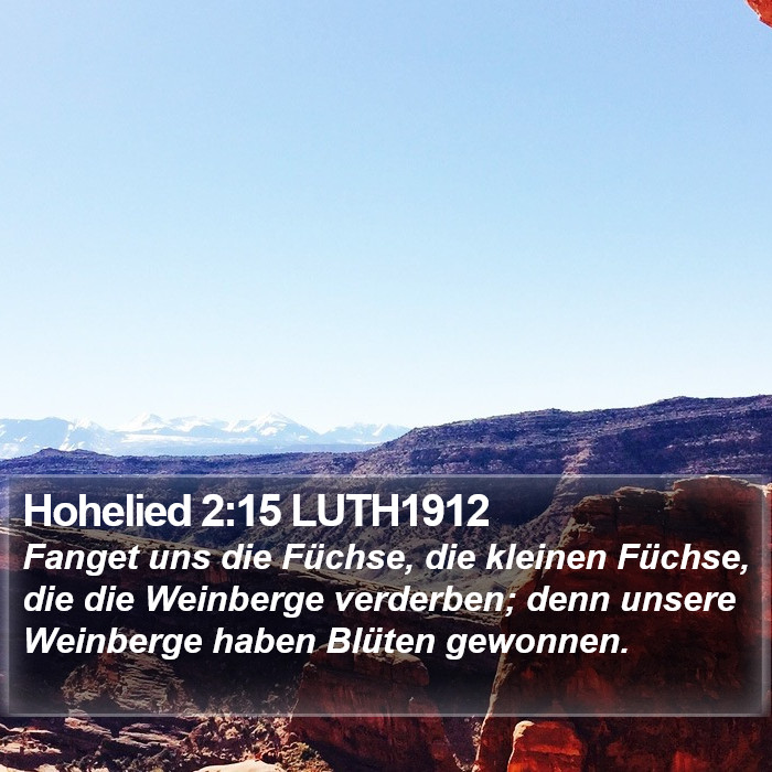 Hohelied 2:15 LUTH1912 Bible Study