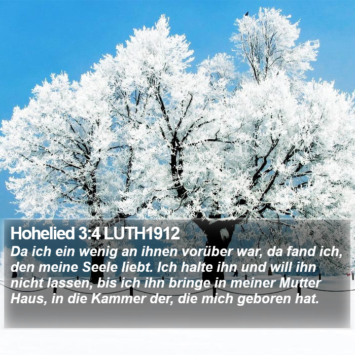 Hohelied 3:4 LUTH1912 Bible Study