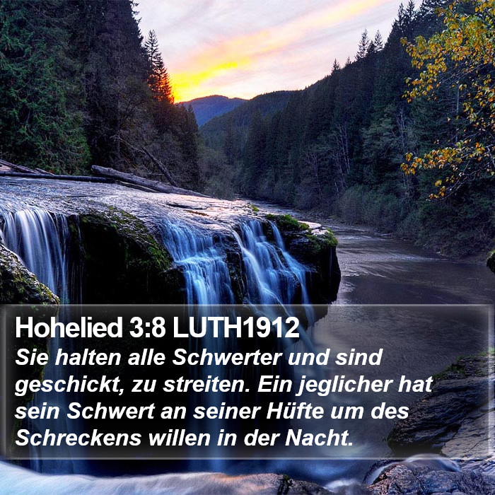Hohelied 3:8 LUTH1912 Bible Study