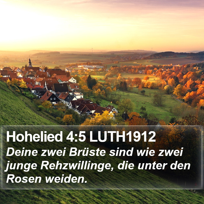 Hohelied 4:5 LUTH1912 Bible Study