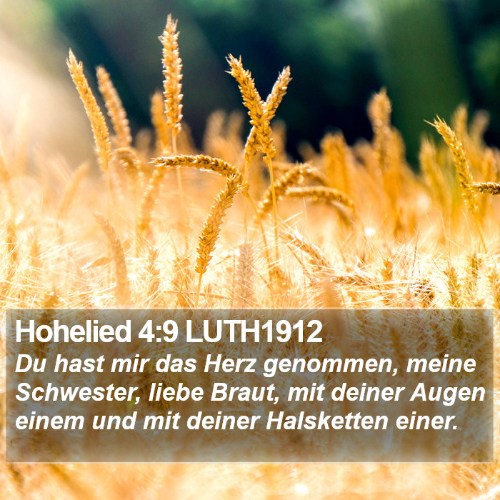 Hohelied 4:9 LUTH1912 Bible Study