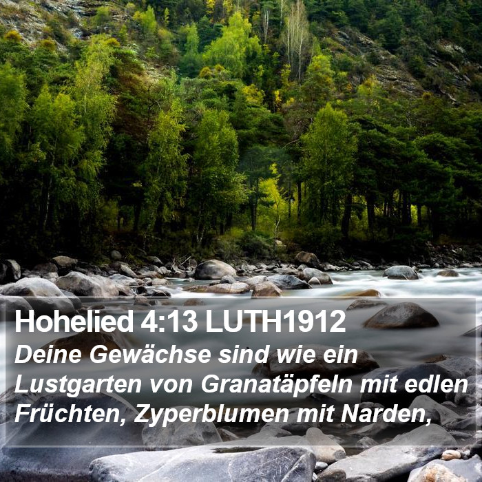 Hohelied 4:13 LUTH1912 Bible Study