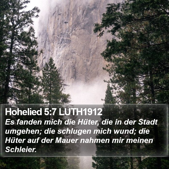 Hohelied 5:7 LUTH1912 Bible Study