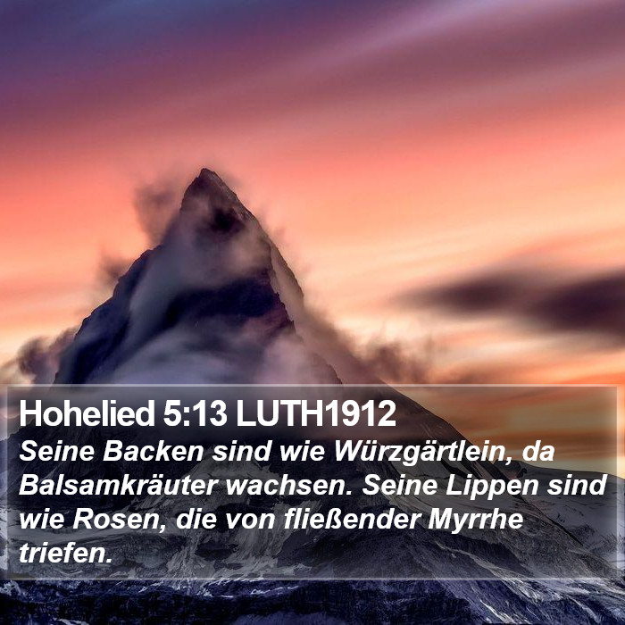 Hohelied 5:13 LUTH1912 Bible Study