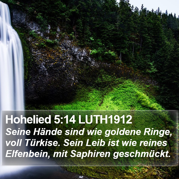 Hohelied 5:14 LUTH1912 Bible Study