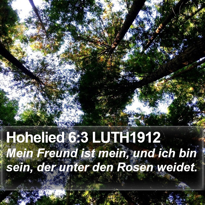 Hohelied 6:3 LUTH1912 Bible Study