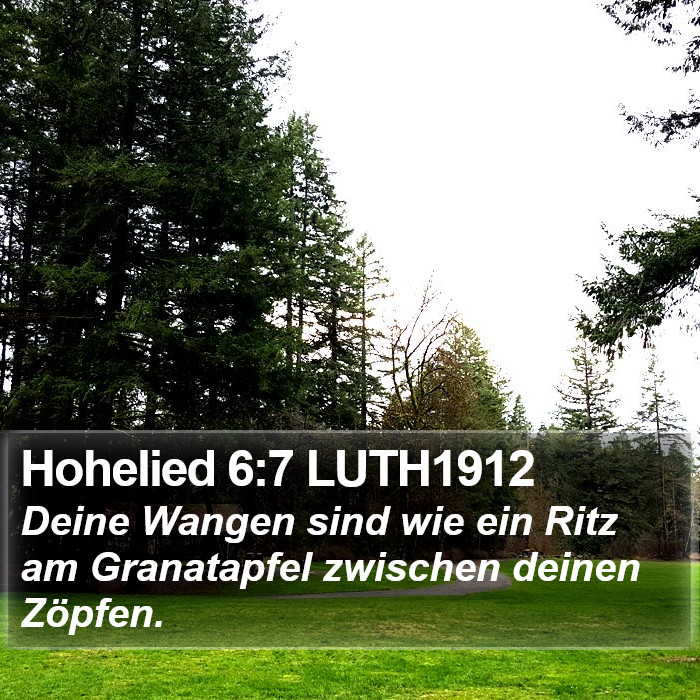 Hohelied 6:7 LUTH1912 Bible Study