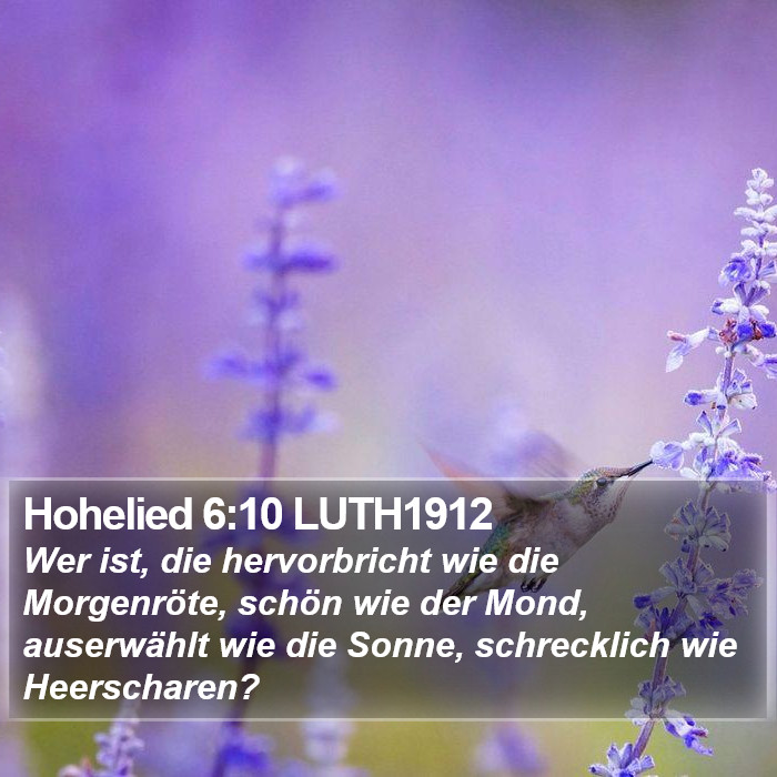 Hohelied 6:10 LUTH1912 Bible Study