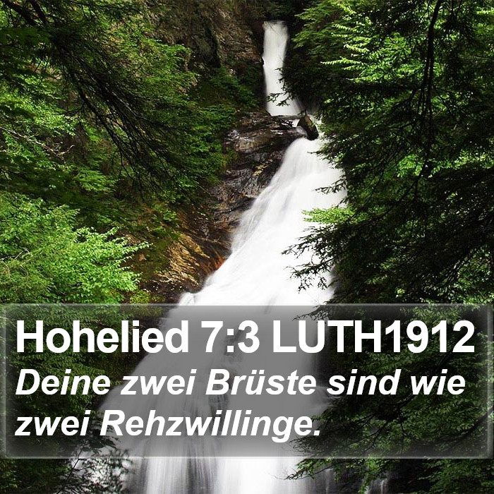 Hohelied 7:3 LUTH1912 Bible Study