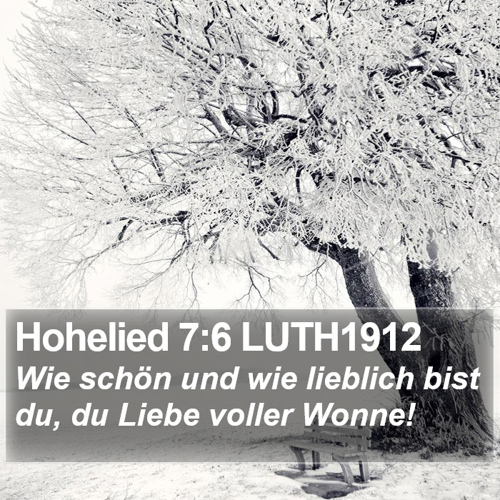 Hohelied 7:6 LUTH1912 Bible Study