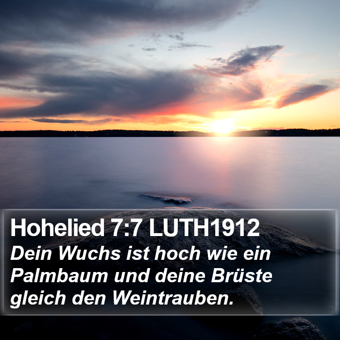 Hohelied 7:7 LUTH1912 Bible Study