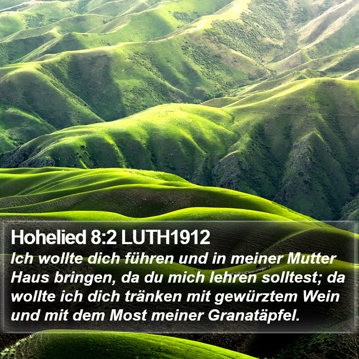 Hohelied 8:2 LUTH1912 Bible Study