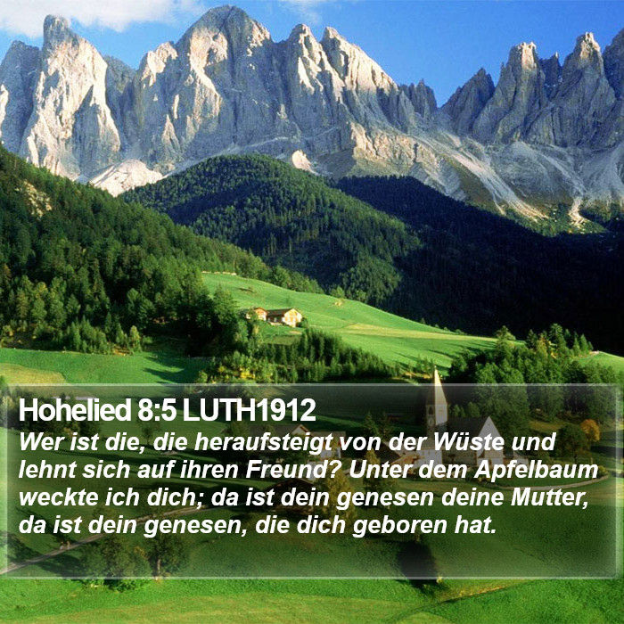 Hohelied 8:5 LUTH1912 Bible Study