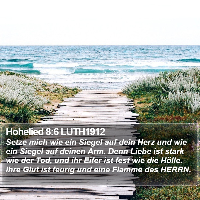Hohelied 8:6 LUTH1912 Bible Study