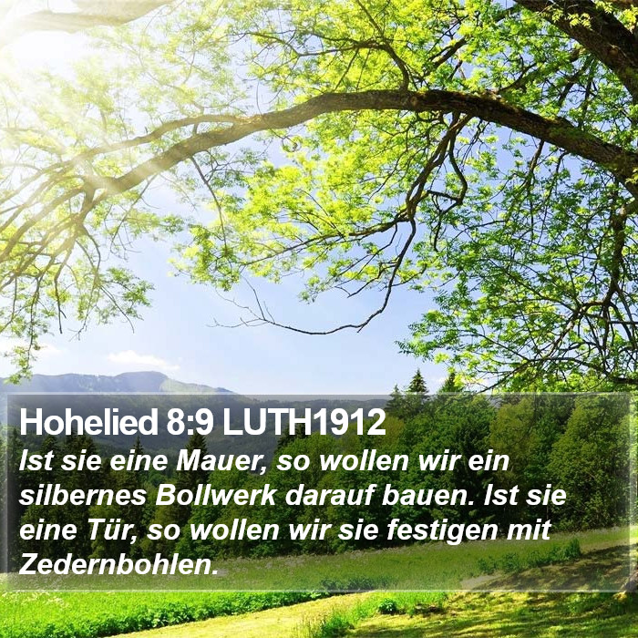 Hohelied 8:9 LUTH1912 Bible Study