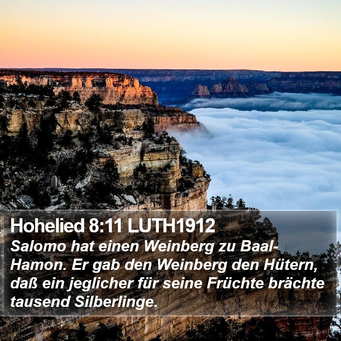 Hohelied 8:11 LUTH1912 Bible Study