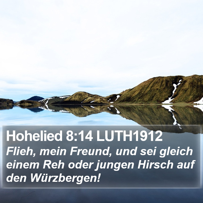 Hohelied 8:14 LUTH1912 Bible Study