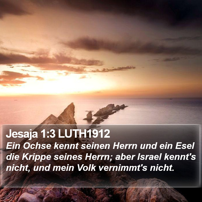 Jesaja 1:3 LUTH1912 Bible Study