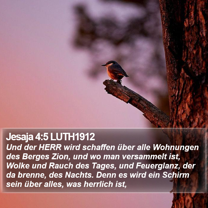 Jesaja 4:5 LUTH1912 Bible Study