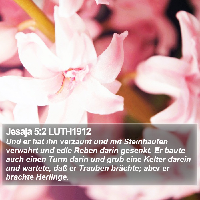 Jesaja 5:2 LUTH1912 Bible Study