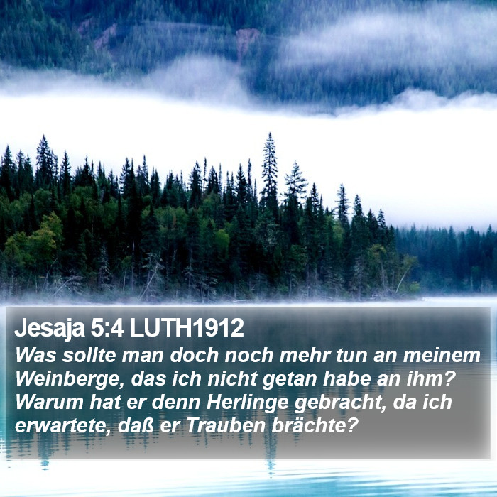 Jesaja 5:4 LUTH1912 Bible Study