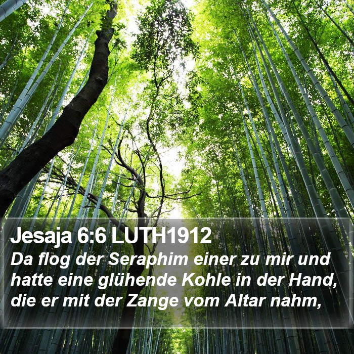 Jesaja 6:6 LUTH1912 Bible Study