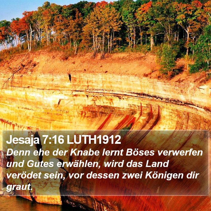 Jesaja 7:16 LUTH1912 Bible Study