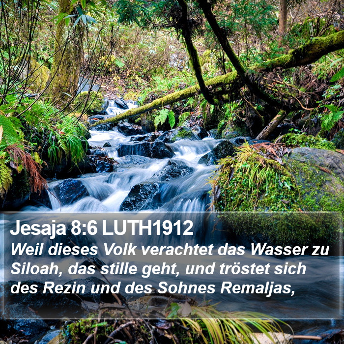 Jesaja 8:6 LUTH1912 Bible Study